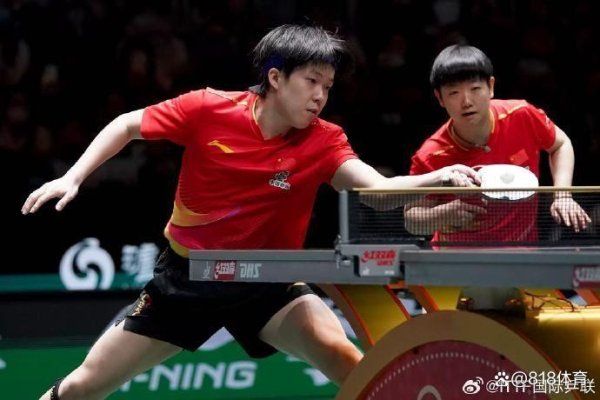 蒯曼成皆赛场坐错CP位，憋笑化解无语霎时圈粉